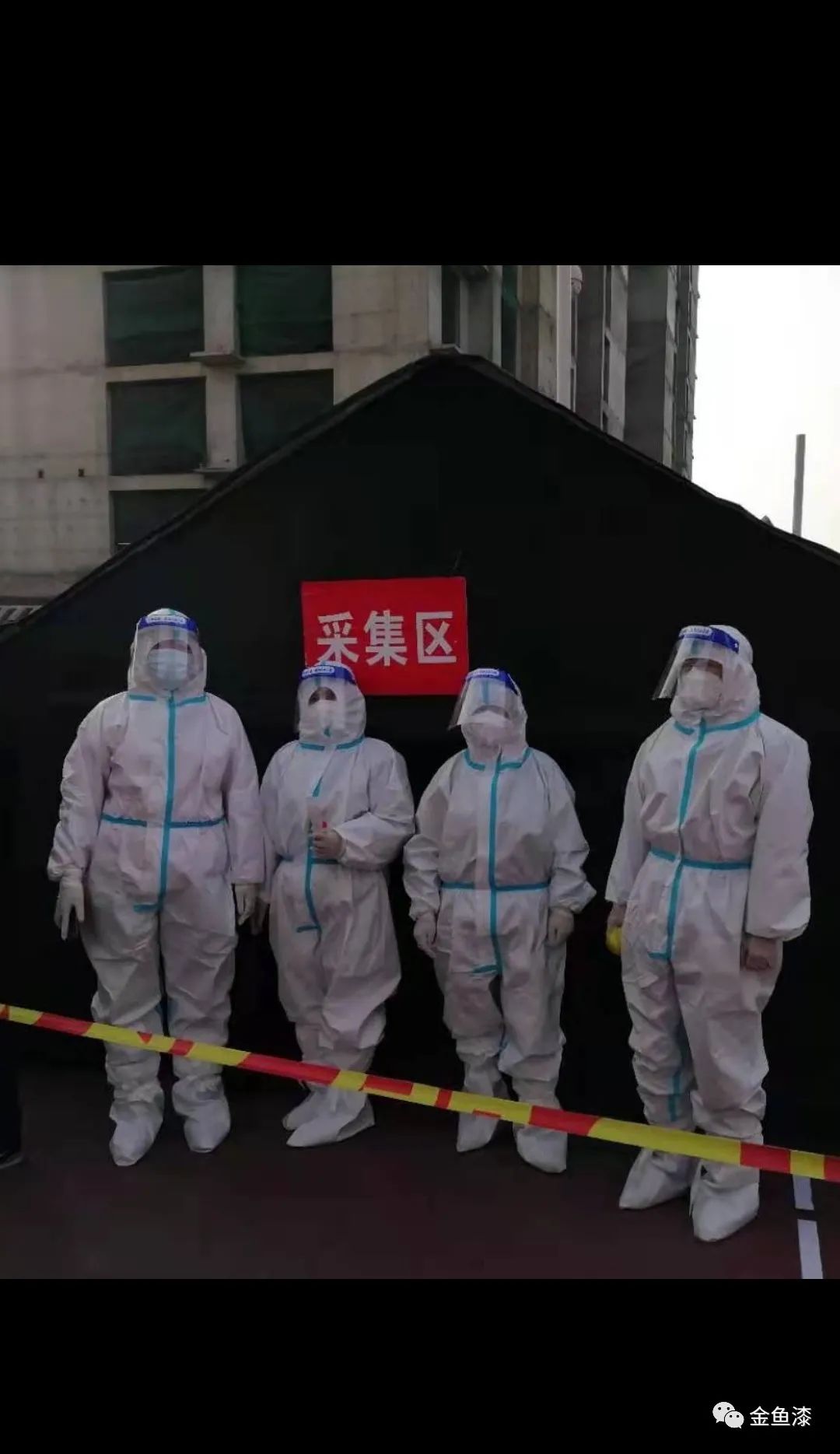 这个冬天，金鱼家园这里“好暖”……(图8)